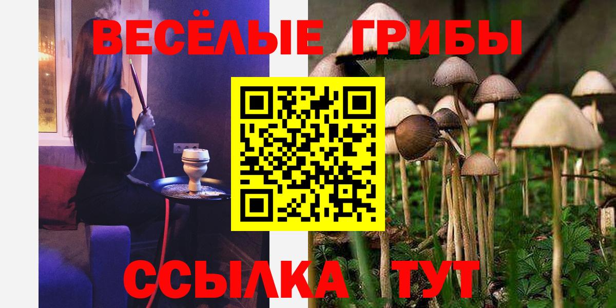 Псилоцибиновые грибы мицелий  Вход с VPN  Менделеевск  где найти   Галлюциногенные грибы Psilocybe 